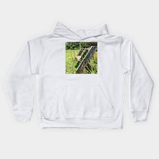 Aldo Leopold Bench Kids Hoodie